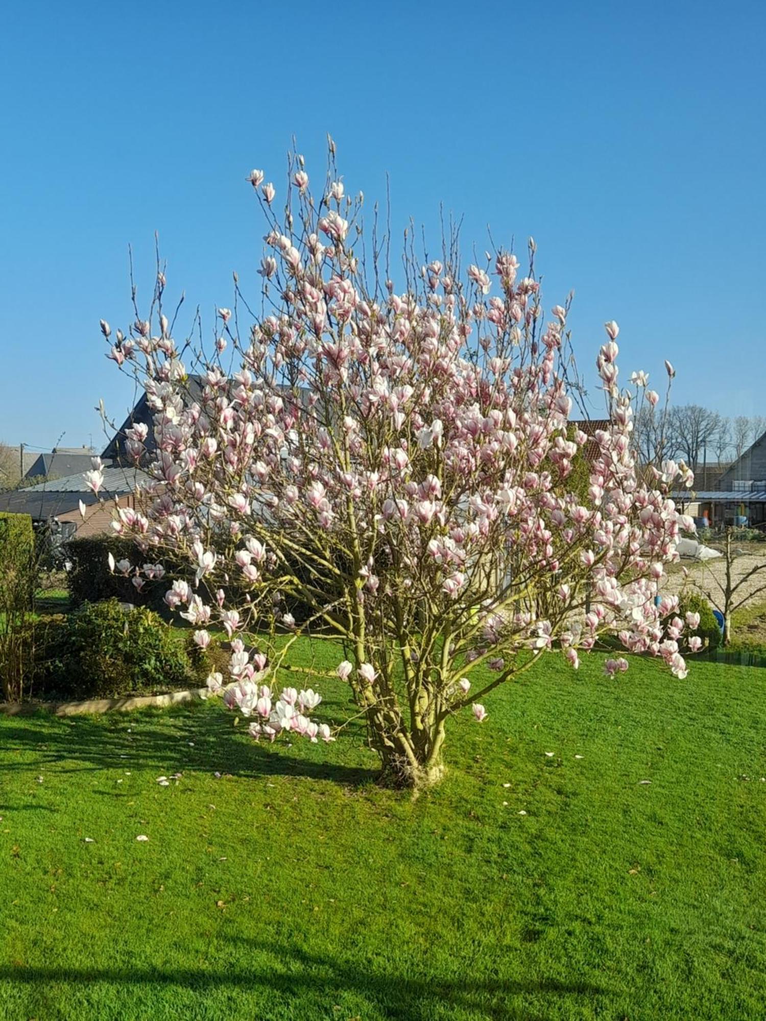 Ferienwohnung Abri Des Âmes Gerponville Exterior foto